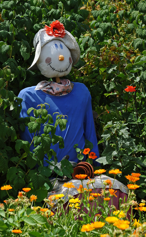 Furzey Gardens New Forest 'Maisie' Scarecrow in the Cottage Garden